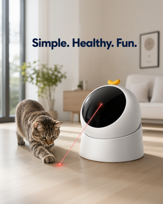 LaserPaw™ - Chase the Fun